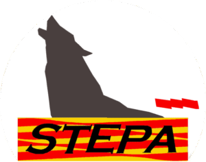 STEPA - Sindicato de trabajadores por el empleo público de Aragón