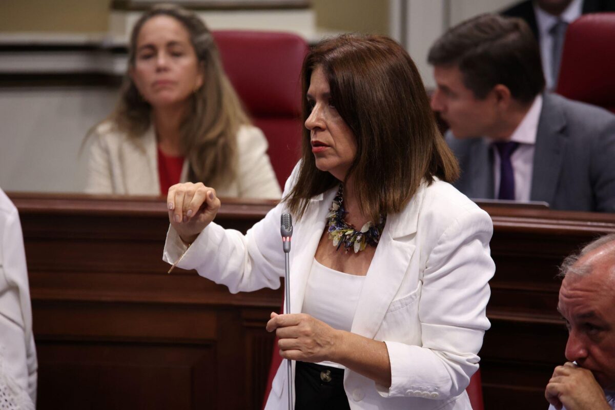 Noticias 85 Hernández (NC-BC) defiende en el Parlamento una solución justa a los interinos en abuso de temporalidad