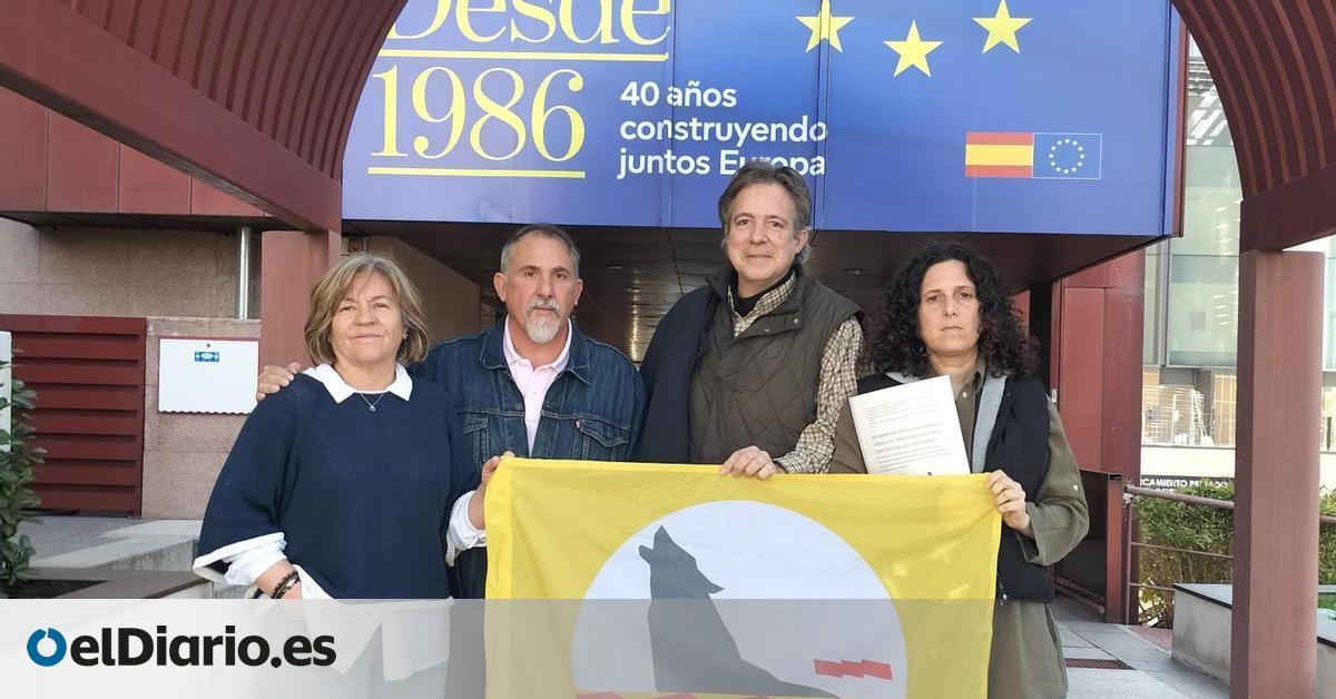 Noticias 31 STEPA lleva a la Comisión Europea los "incumplimientos" del Gobierno de Aragón con el personal interino